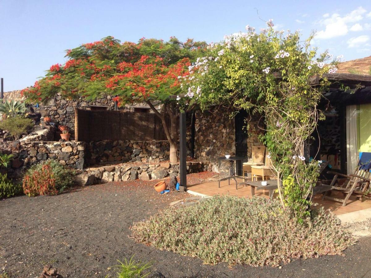 Apartament Apartamento Rural Oasis 2